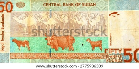 Large fragment of Reverse side of  a Sudan 50 Pounds banknote featuring agricultural symbols of images of livestock, including camels, a cow, and a goat, issued by the Central Bank of Sudan