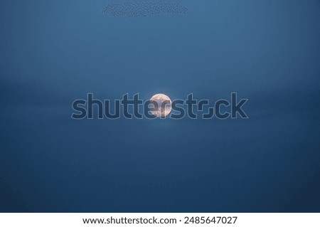 A large full moon shines brightly in the night sky. Attractive astronomy phenomenon. Halloween design background concept. Exotic photo wallpaper. Image taken with a telescope. Beauty of earth.