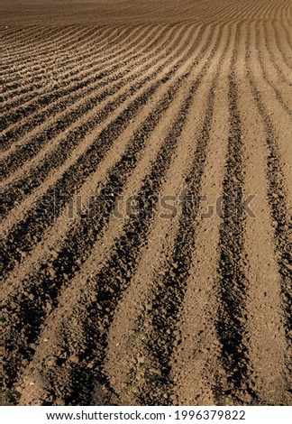Large furrows in a plowed field for spring planting, vertical view
