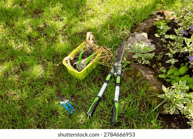 large garden shears, a pruning shears, and a box of bulbs are lying on the lawn