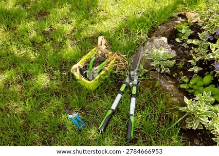 large garden shears, a pruning shears, and a box of bulbs are lying on the lawn