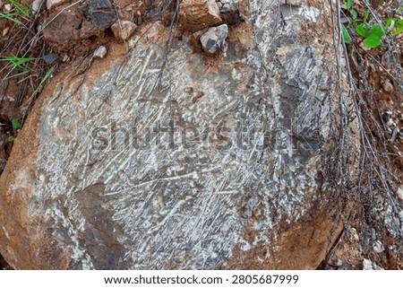 Large glacial erratic boulder featuring ancient striations and deep scars caused by prehistoric ice movement, textured rock surface resembling cryptic weathered carvings in natural earth landscape