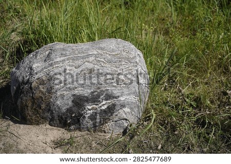 A large glacial erratic boulder featuring distinct geological layering and textures, resting in natural grass on the coastal cliffs in Sierksdorf along the Baltic Sea, Bay of Lübeck, Schleswig-Holstein, Germany. The stone originating from the Weichselian glaciation highlights coastal geology, natural history, and outdoor landscapes.