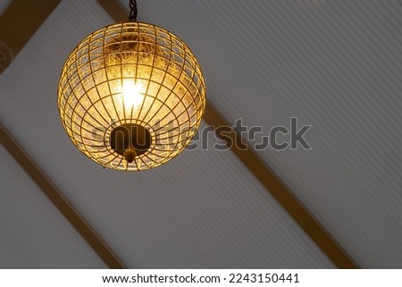 Large globe shaped light seen in a conservatory. Spider's webs are seen within the globe fitting.