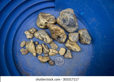 Large Gold Nuggets In A Gold Pan