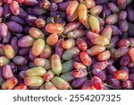 Large grapes purple green, clusters berries grapes background wallpaper