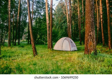 A Large Gray Family Tent Stands On A Green Meadow In A Pine Forest