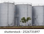 Large, gray industrial storage tanks stand at a manufacturing facility. A small tree grows next to the tanks under a cloudy sky, creating a contrast between nature and industry