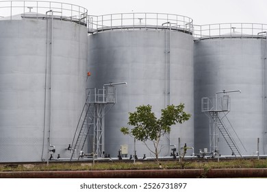 Large, gray industrial storage tanks stand at a manufacturing facility. A small tree grows next to the tanks under a cloudy sky, creating a contrast between nature and industry - Powered by Shutterstock