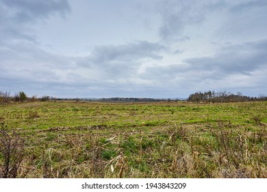 A Large Green Crop Field With Dead Crop