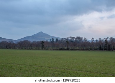 Large Green Field In Front Of Great Sugar Loaf