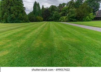 Large Green Lawn And Trees In The Background.