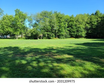 A Large Green Lawn With Trees Growing At The Edge.