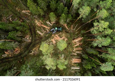 A Large Green Wood Harvester Moving In The Middle Of Estonian Coniferous Forest.	