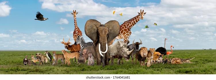 17,336 Many Animals Together Images, Stock Photos & Vectors | Shutterstock