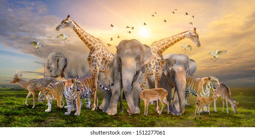 Large group of african safari animals. Wildlife conservation concept - Shutterstock ID 1512277061