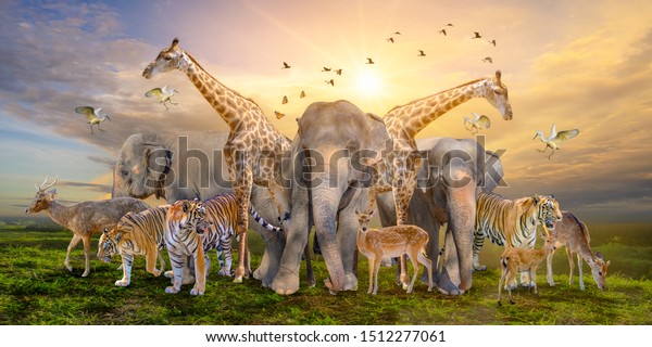 Large group of african safari animals. Wildlife
conservation concept