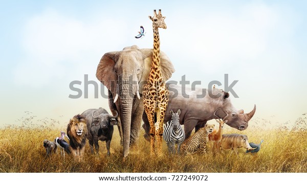 Large group of African safari\
animals composited together in a scene of the grasslands of Kenya.\
