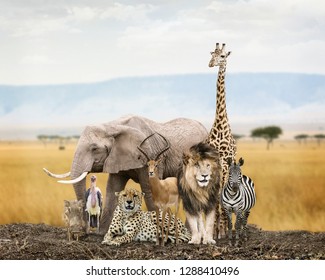 Large Group Of African Safari Wildlife Animals Together In Kenya Grasslands