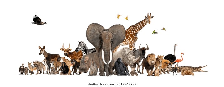 Large group of african safari wildlife animals standing together on a white background, representing the diversity of wildlife on this continent - Powered by Shutterstock