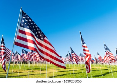A large group of American flags. Veterans or Memorial day display