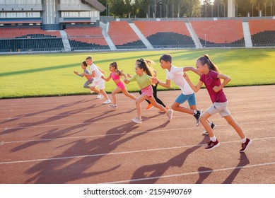 A large group of children, boys and girls, run and play sports at the stadium during sunset. A healthy lifestyle. - Powered by Shutterstock