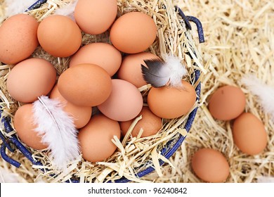 Large group of fresh free range eggs in a nest of straw.