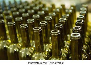 Large Group Of Green Recycled Glass Wine Bottles At Winery