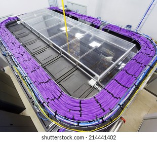 Large Group Of Lilac Utp Internet Cables In Data Center