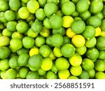 Large group of lime juice close-up