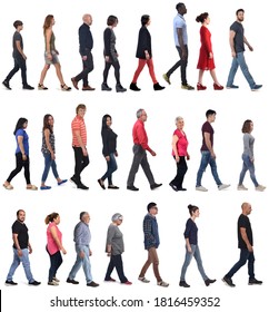 Large Group Of Mixed People Walking On White Background, 