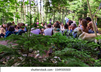 A Large Group Of People From All Backgrounds Are Seen Sitting Together In A Circle At A Forest Campsite, With A Golden Retriever Dog During A Mindful Retreat.