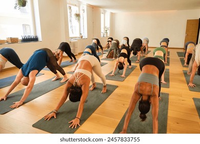 A large group of people are doing downward facing dog yoga pose on mats. Scene is calm and focused. - Powered by Shutterstock