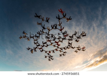 Large group of skydivers creating a complex star formation during freefall at sunset. Aerial teamwork, precision and symmetry captured from below against dramatic sky.