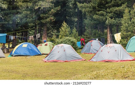 A Large Group Of Tents Is Located In The Forest In A Camping. The Concept Of Outdoor Recreation By A Large Company Of People Or An Open Air Festival