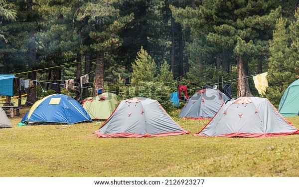 A large group of tents is located in\
the forest in a camping. The concept of outdoor recreation by a\
large company of people or an open air\
festival
