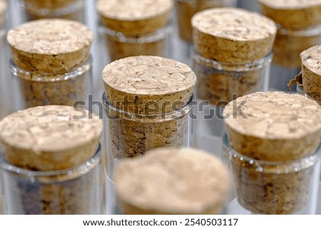 A large group of test tubes closed with cork caps, close up shot. Pharmaceutical or chemical industry abstract background.