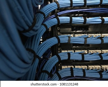Large group of UTP cables, Ethernet cables in rack cabinet, UTP cables from a patch panel in the server rack in the data center room.