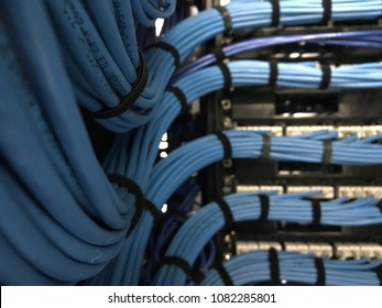 Large Group Of UTP Cables, Ethernet Cables In Rack Cabinet, UTP Cables From A Patch Panel In The Server Rack In The Data Center Room.