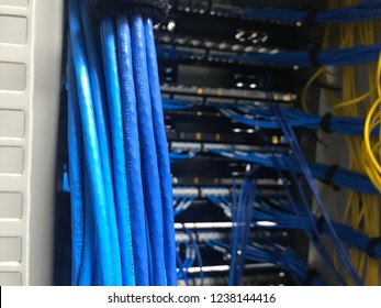 Network Switch Ethernet Cables Rack Cabinetutp Stock Photo (Edit Now ...