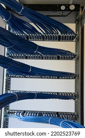 A Large Group Of UTP Cables, Rack Ethernet Cables, Patch Panel UTP Cables In A Server Rack In A Data Center Room.