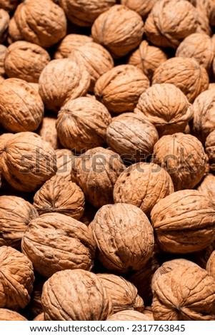 Large group of wallnut fruit background. High quality photo
