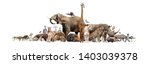 Large group of wild zoo animals together on horizontal web banner with room for text in white space