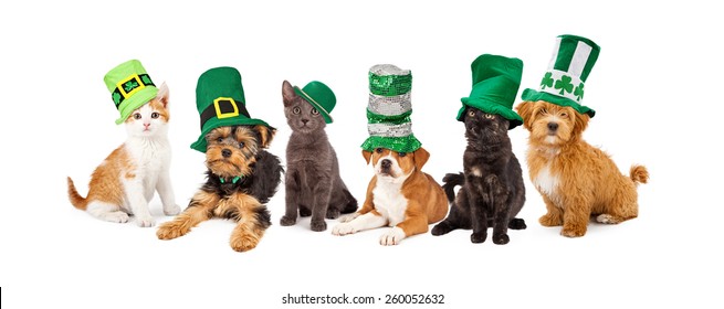 A large group of young kittens and puppies together wearing green St. Patrick's Day hats - Powered by Shutterstock