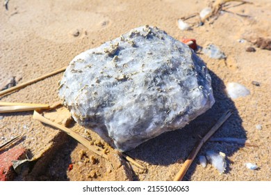  Large Gypsum Stone On The Sand Close-up                              