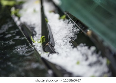 Large Hail Ice Balls On Car Hood After Heavy Summer Storm