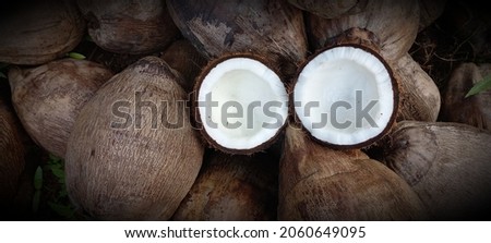 
A large hairy, brown nut that grows on the coconut tree, found throughout the world's tropical islands and countries.