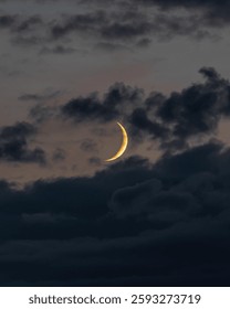 A large half-moon with wispy dark clouds in the sky at night