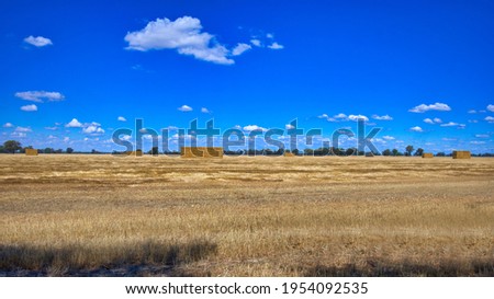 Large hay stacks on a paddock ear Savernake
