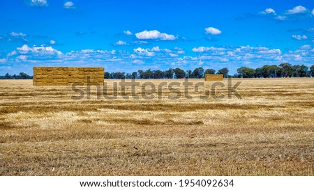 Large hay stacks on a paddock ear Savernake NSW